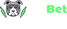 PitBet Casino logo